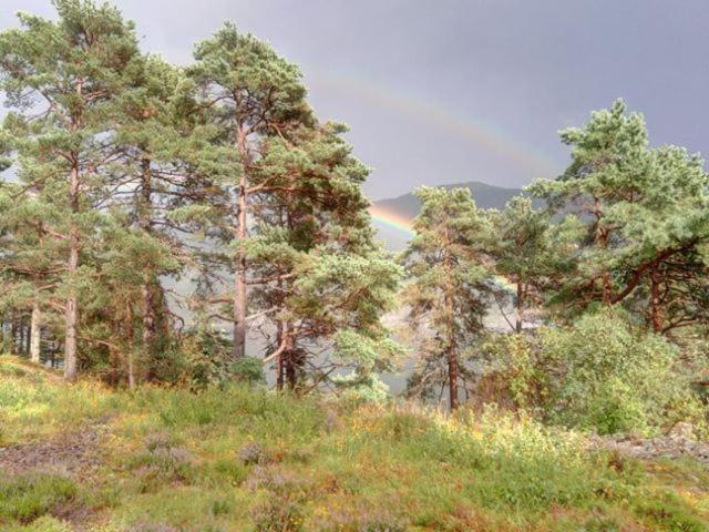 Sognevegen 2242 Haugsvaer Exterior foto